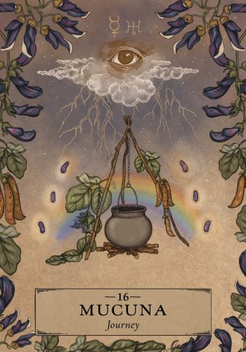 The Herbal Astrology Oracle view 5