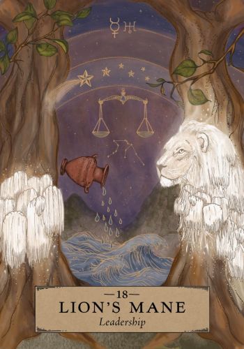 The Herbal Astrology Oracle view 3