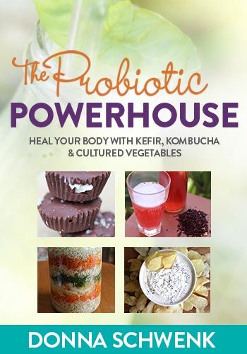 The Probiotic Powerhouse view 1