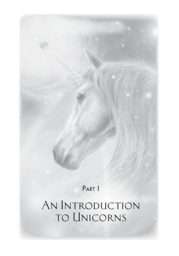 The Magic of Unicorns view 11