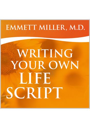 Writing Your Own Script view 1