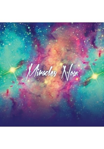 Miracles Now view 4