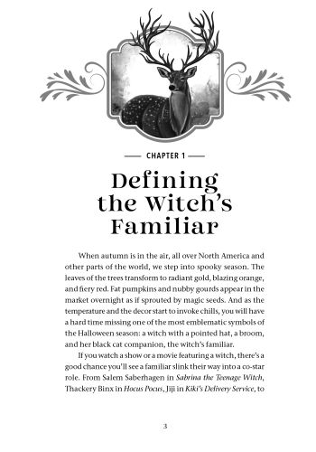 The Witch's Guide to Animal Familiars view 2