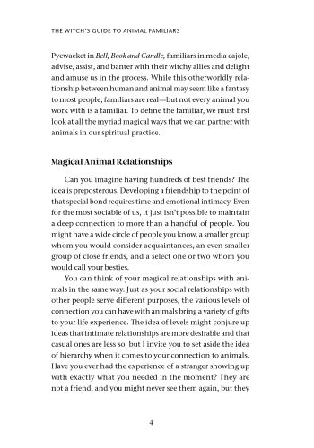 The Witch's Guide to Animal Familiars view 4