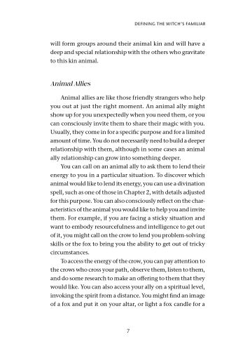 The Witch's Guide to Animal Familiars view 3