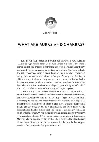The Aura Color Wheel view 7