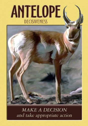 Power Animal Oracle Cards view 5