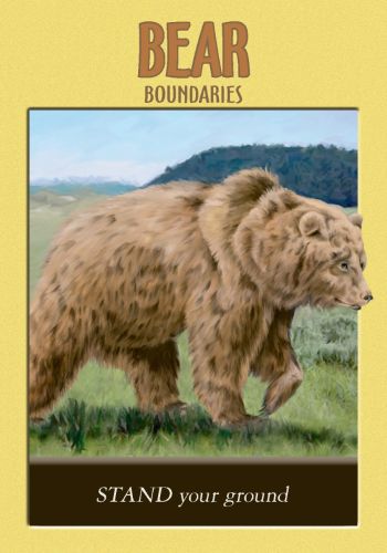 Power Animal Oracle Cards view 6