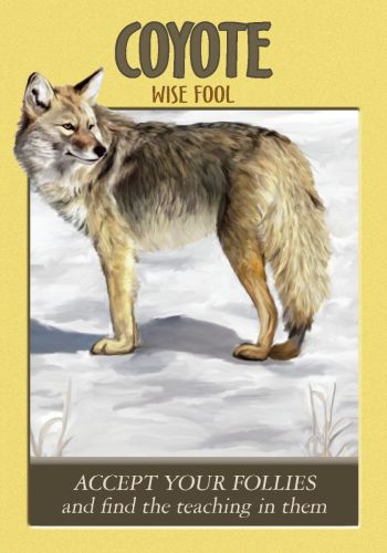 Power Animal Oracle Cards view 7