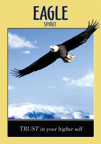 Power Animal Oracle Cards view 9