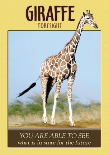Power Animal Oracle Cards view 3