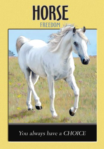 Power Animal Oracle Cards view 4