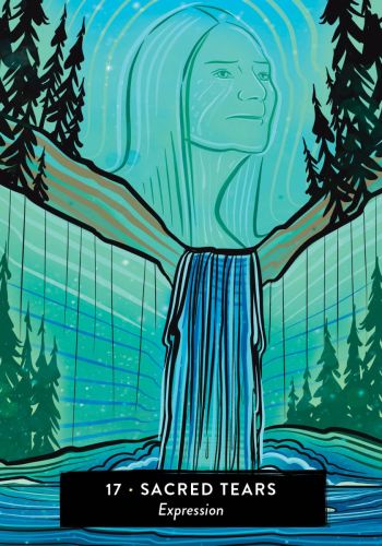 The Sacred Medicine Oracle view 6