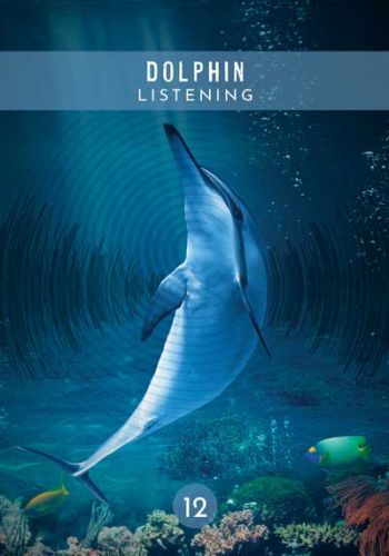 Messages from the Spirits of Nature Oracle view 5