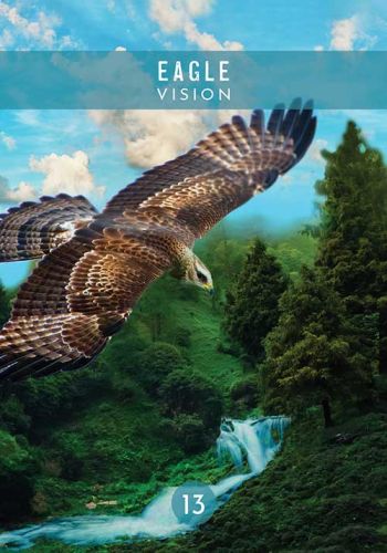Messages from the Spirits of Nature Oracle view 6