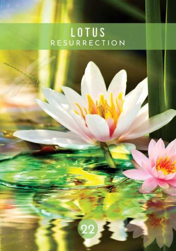 Messages from the Spirits of Nature Oracle view 10
