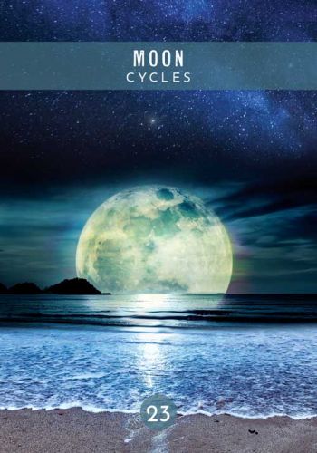 Messages from the Spirits of Nature Oracle view 11