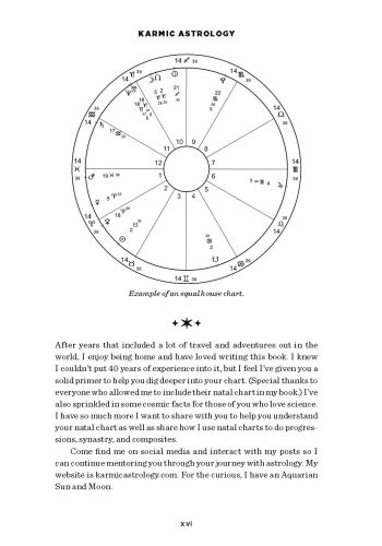 Karmic Astrology view 6