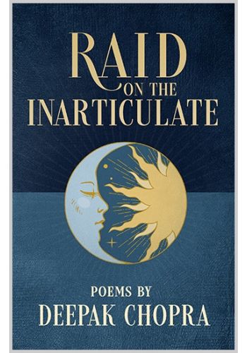Raid on the Articulate Paperback