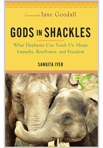 Gods in Shackles eBook