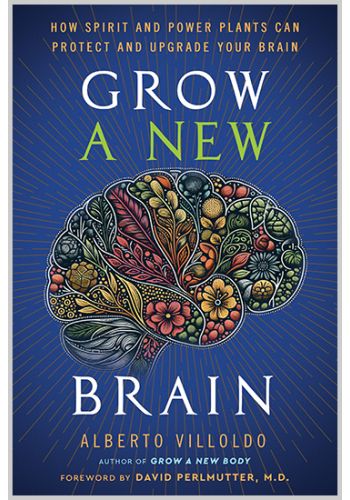 Grow a New Brain