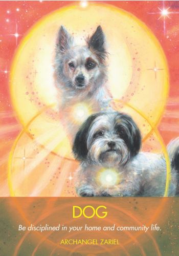 Archangel Animal Oracle Cards