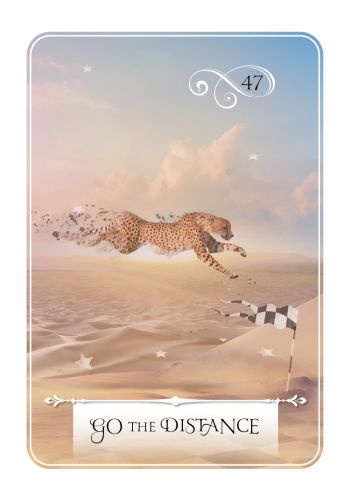 Wisdom of the Oracle Pocket Divination Cards view 4