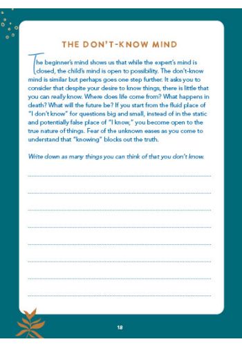 Zen Meditations Journal view 2