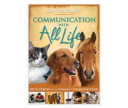 Communication With All Life