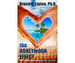 The Honeymoon Effect