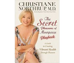 The Secret Pleasures of Menopause Playbook