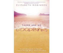There Are No Goodbyes
