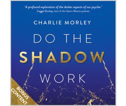 Do the Shadow Work