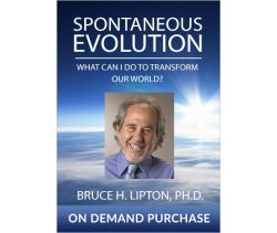Spontaneous Evolution: What Can I Do to Transform Our World?