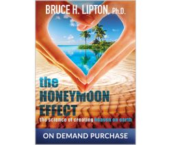 The Honeymoon Effect: The Science of Creating Heaven on Earth