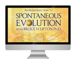 An Introduction to Spontaneous Evolution