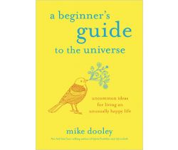 A Beginner's Guide to the Universe