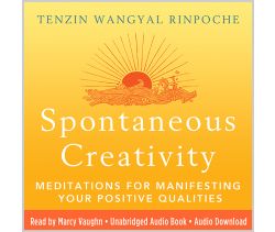  Spontaneous Creativity