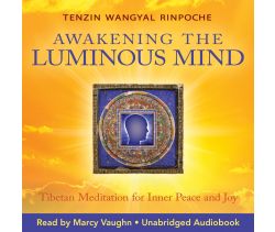Awakening the Luminous Mind