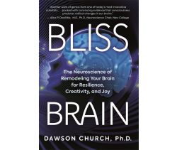 Bliss Brain