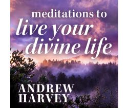 Meditations to Live Your Divine Life