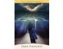 The Quantum Oracle view 4