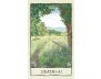 Mindscapes Tarot view 4