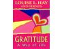 Gratitude view 1