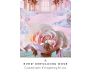 Work Your Light Pocket Oracle Cards view 3