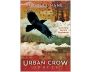 Urban Crow Oracle view 11