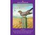 Animal Guides Tarot view 3