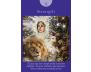 Fairy Tarot Cards view 11