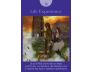 Fairy Tarot Cards view 6