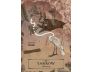 The Herbal Astrology Oracle view 6